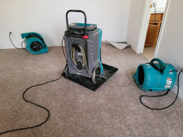 Best 24-hour water damage restoration  in East Setauket, NY
