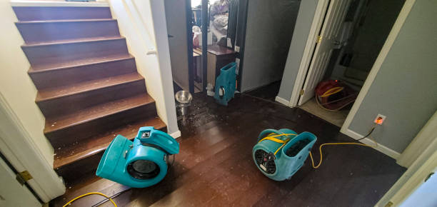 Best 24/7 water damage repair  in East Setauket, NY