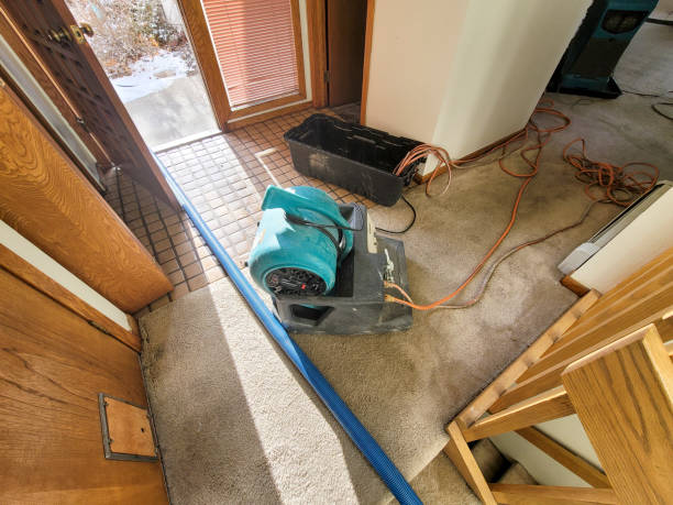Best Ceiling water damage repair  in East Setauket, NY