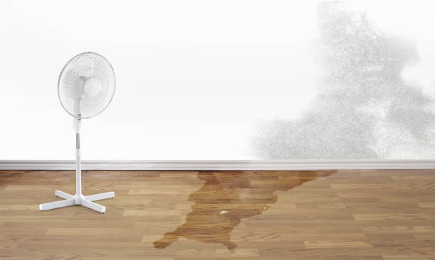 Best Flood restoration services  in East Setauket, NY
