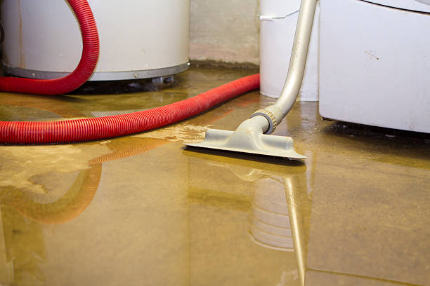 Trusted East Setauket, NY Water damage restoration Experts