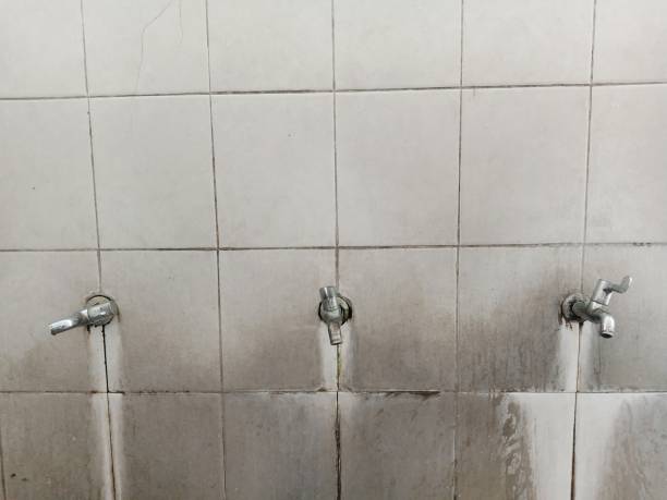 Best Flood damage cleanup  in East Setauket, NY
