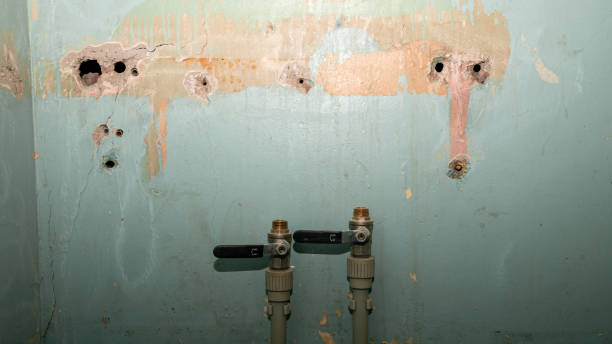 Best Water damage restoration near me  in East Setauket, NY