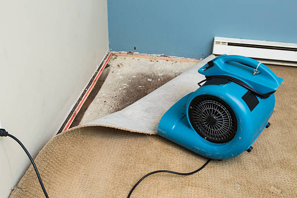  East Setauket, NY Water damage restoration Pros